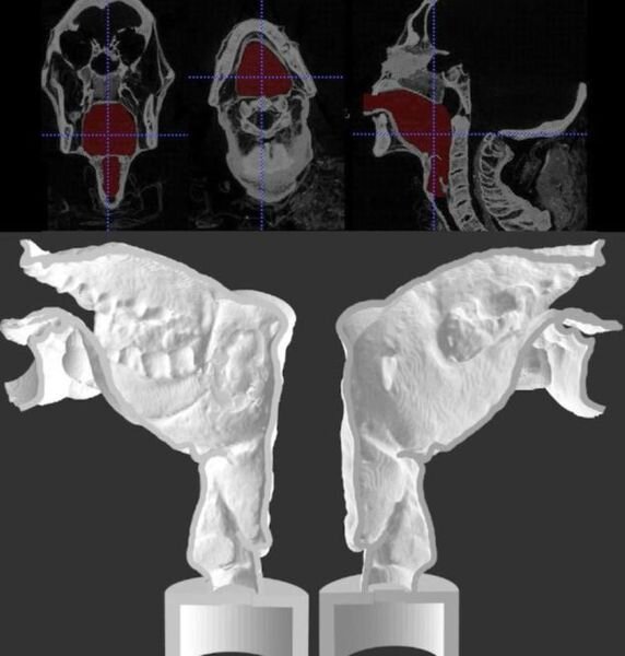 Reproducing Anyone's Voice Using 3D Printing?