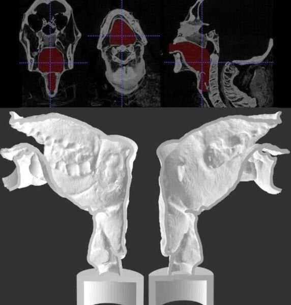 Reproducing Anyone's Voice Using 3D Printing?