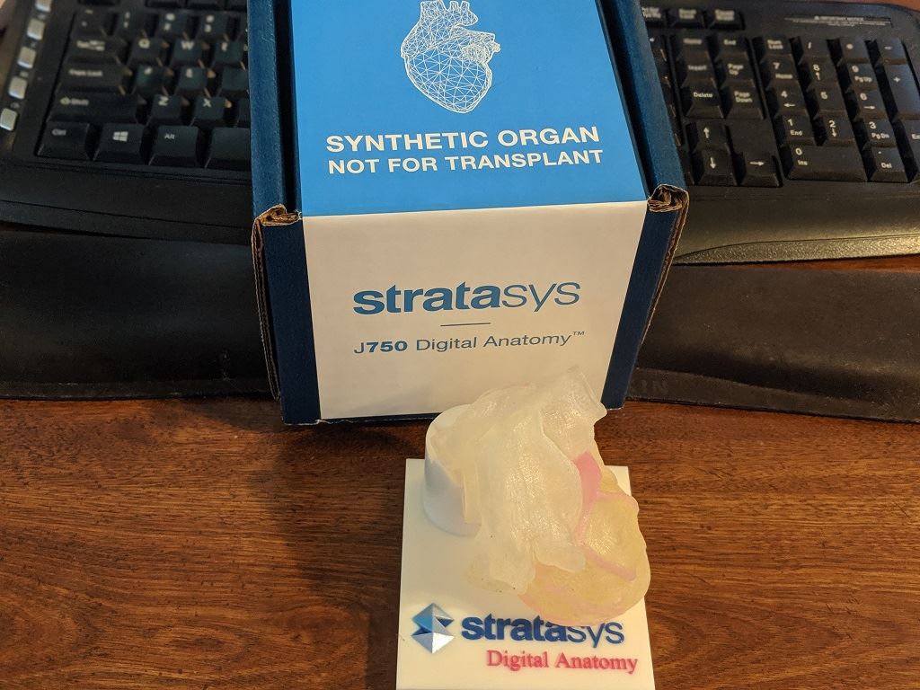 Validating Digital Anatomy: Inside Stratasys’ Strategy