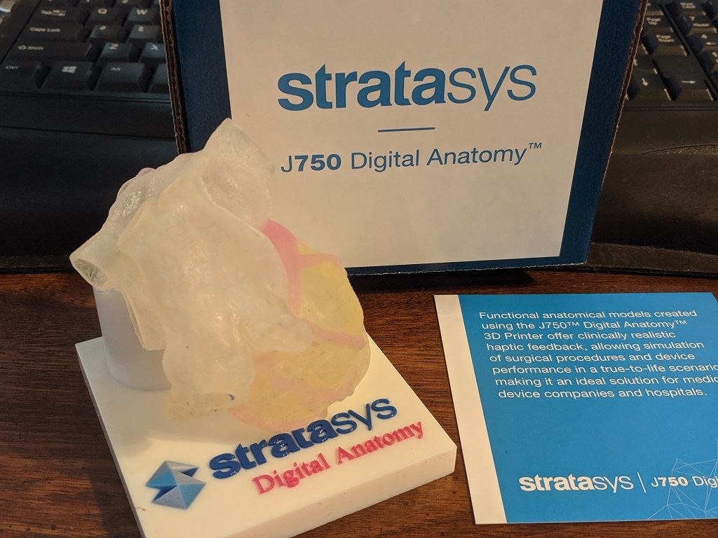  Cardiac model 3D printed on the J750 Digital Anatomy 3D printer using TissueMatrix and Agilus 30 materials to mimic the human heart [Image: Fabbaloo] 