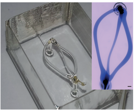 Recent Trends in 3D Printing Glass