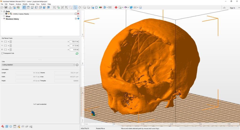  A digital model of Adriana’s skull in Autodesk Netfabb [Image: Autodesk] 