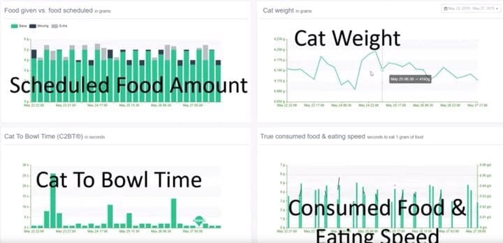  Cat feeder statistical report [Source: Piotr Westfalewicz] 