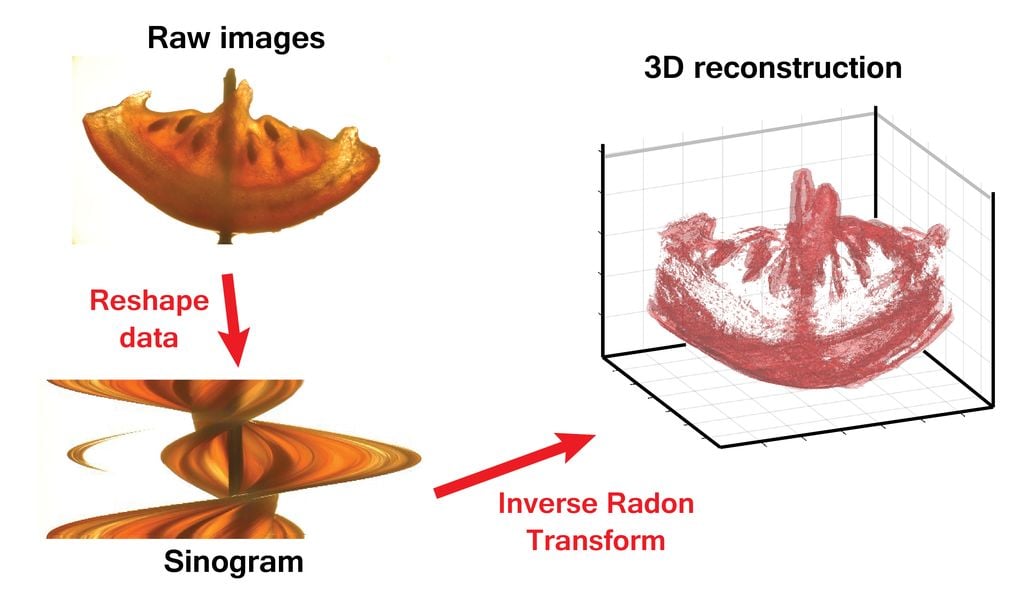  The transparent object's interior can be 3D scanned with the CT Scanner 