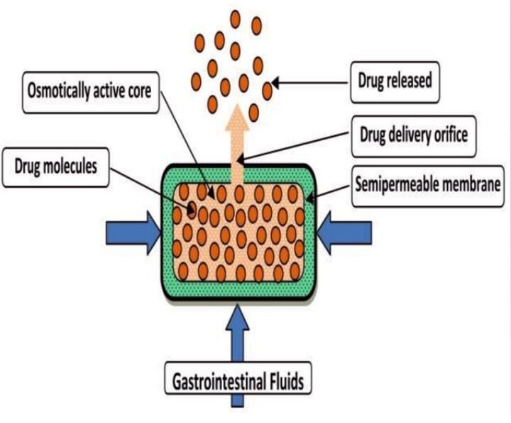  The Osmotic Pressure technique for controlled drug release in medicinal tablets [Source:  Slideshare ] 