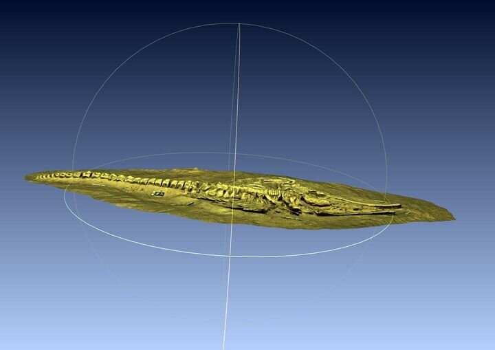  A 2.7GB 3D model of a whale fossil from the Smithsonian [Source: Fabbaloo] 