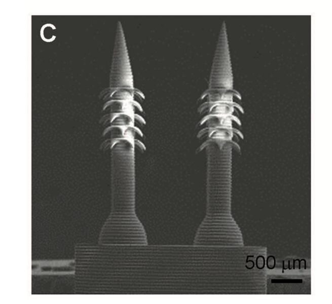  3D printed micro-needles [Source: Wiley] 