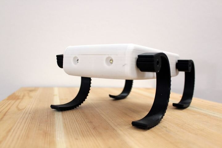  The 3D printed Terrain Robot [Source: Cults 3D] 