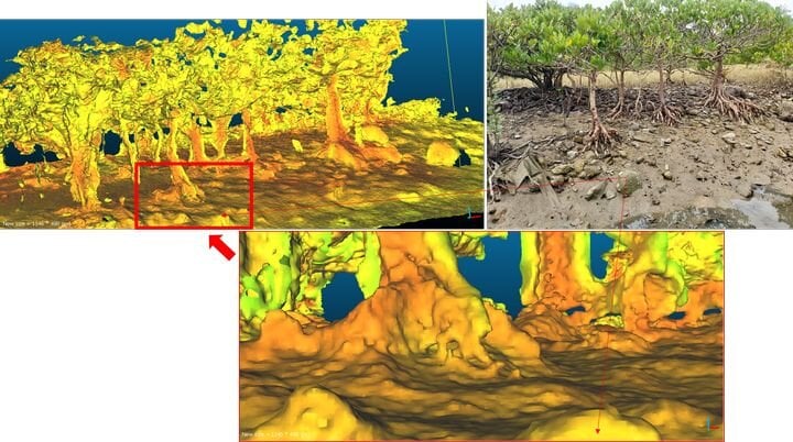  3D scanning a tree’s root system [Source: Rinaldi Gotama] 