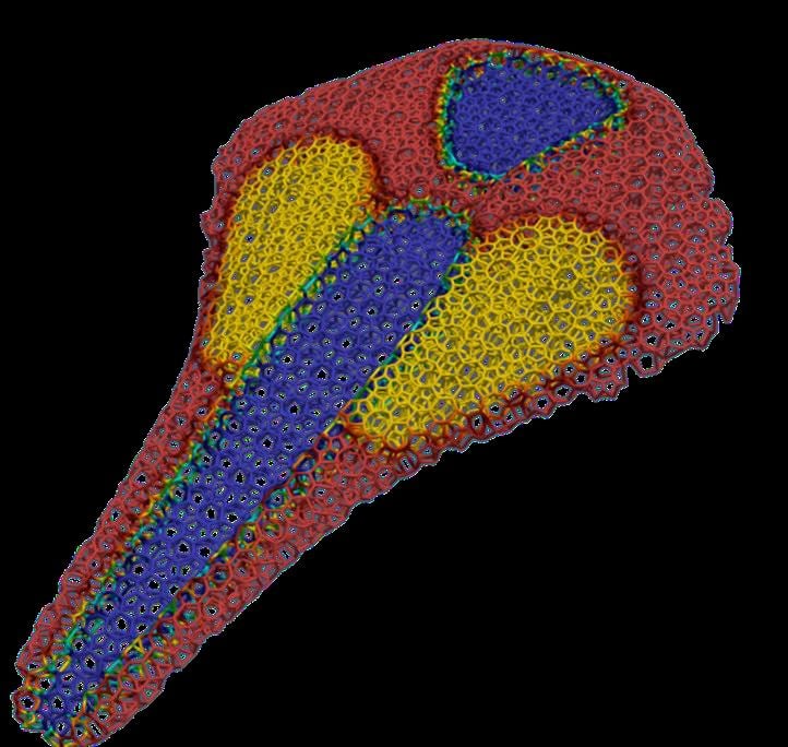  Pressure mapping the saddle [Image: Carbon] 