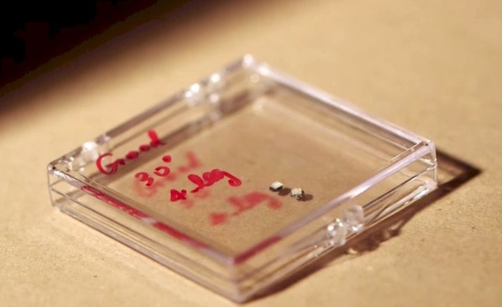  The 3D printed microbots swimming in solution [Source: Georgia Tech] 
