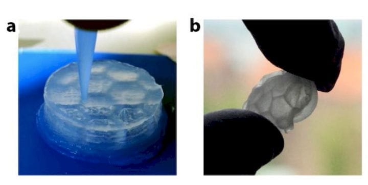  A 3D print using aligned cellulose nanofiber hydrogels [Source: Science Direct] 