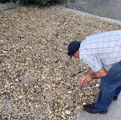  Inspecting dried wood chips [Source: ABC3D] 