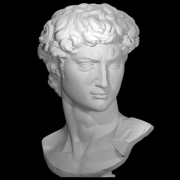  A 3D scan of the original statute of David by Michelangelo [Source: MyMiniFactory] 