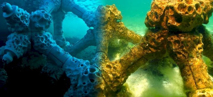  Alex Goad’s MARS structure, made with 3D printing. On the left, the structure upon installation in the Maldives. On the right, the structure as it begins to support life. (Image courtesy of Reef Design Lab.) 