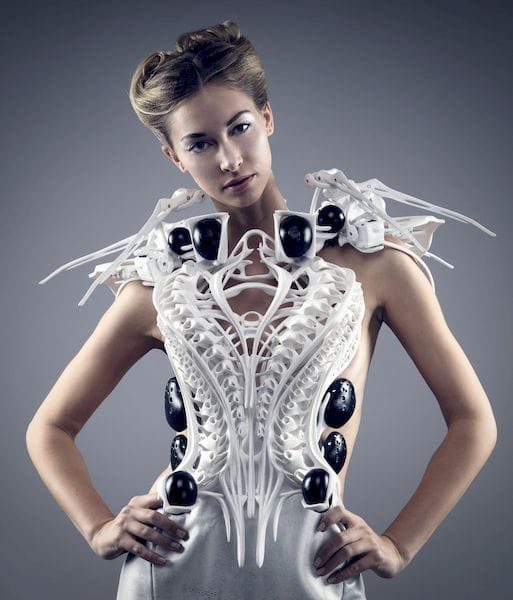  The 3D printed Spider Dress by Anouk Wipprecht [Source: Anouk Wipprecht] 