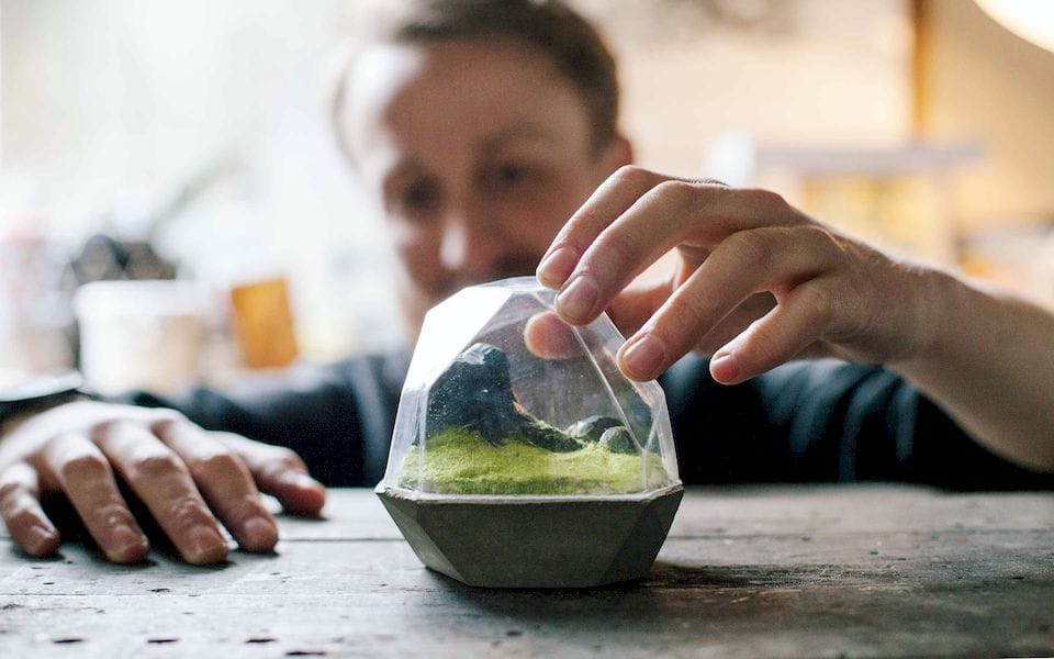  A vacuum-formed terrarium made with the FormBox 