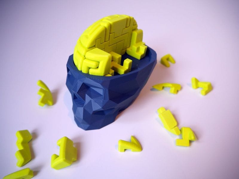  A 3D printed brain - puzzle 