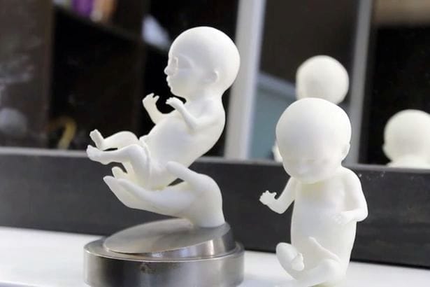 3D printed human embryo replicas 