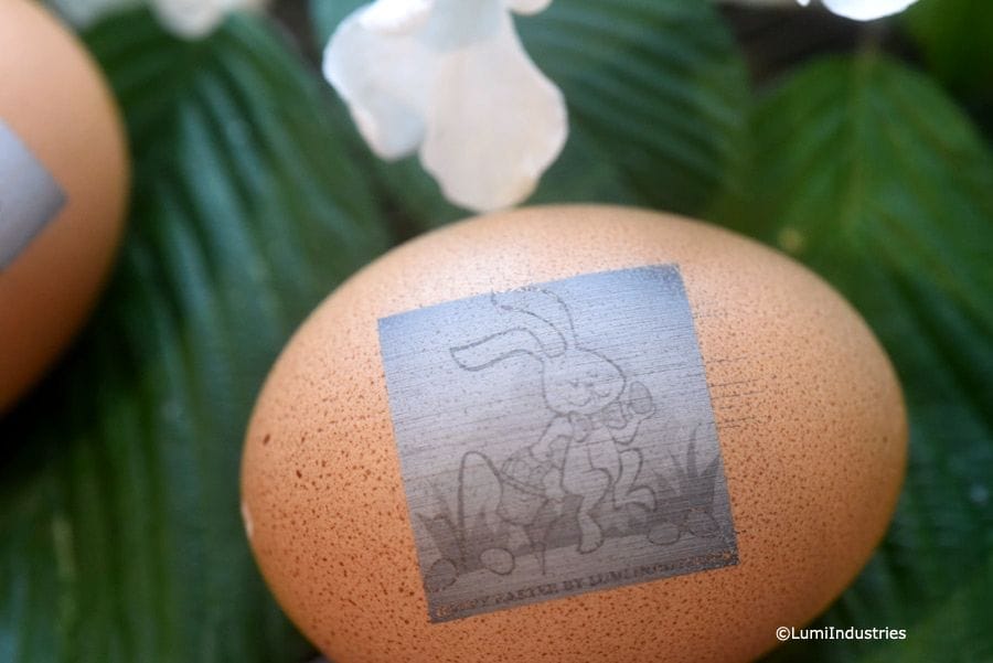  An egg, etched by the LumiPocket LT desktop 3D printer - and laser engraver 