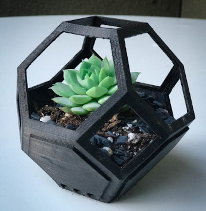  A single 3D printed Plantygon with succulent plant inside 
