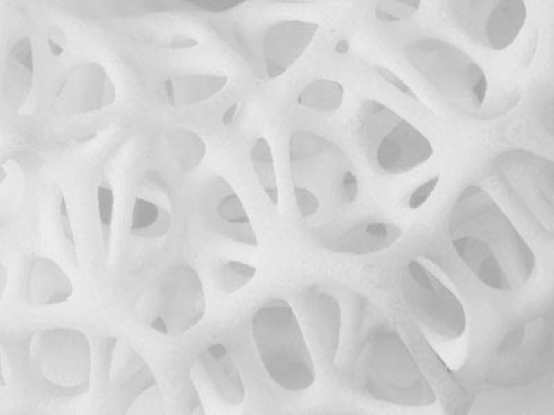  Detail of a 3D printed lattice used by Prodways in 3D printing footwear components 