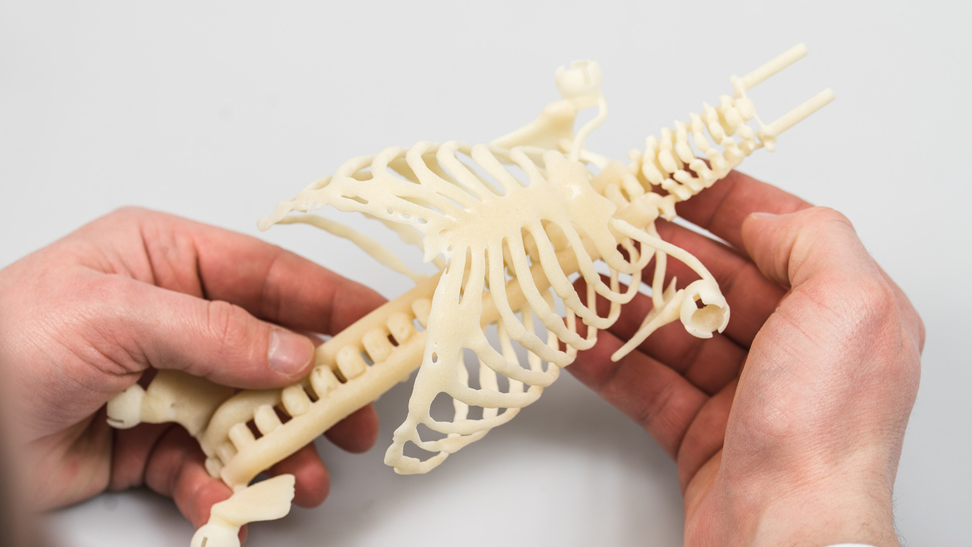  3D printed baby medical models 