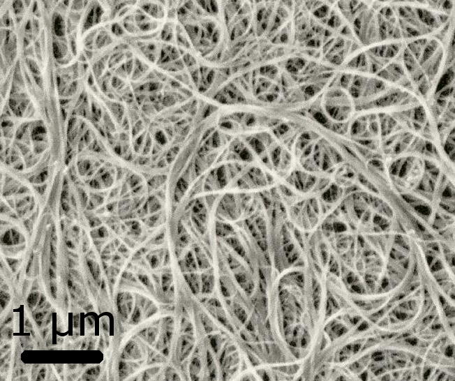  A cluster of carbon nanotubes 