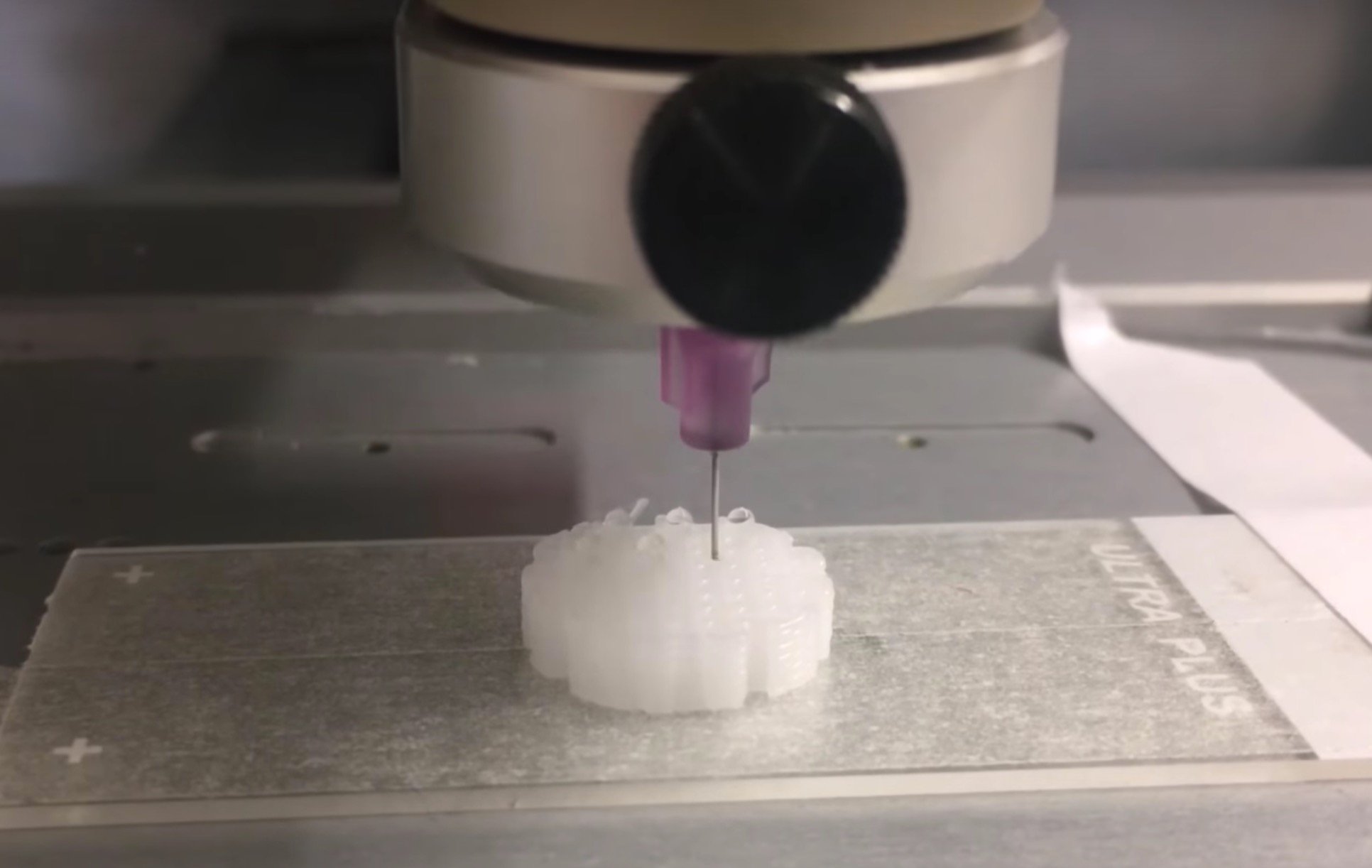  3D printing adult stem cells 