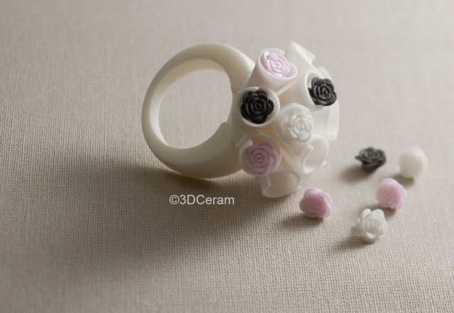  A ring 3D printed in zirconia with the Ceramaker. (Image courtesy of 3DCeram.) 