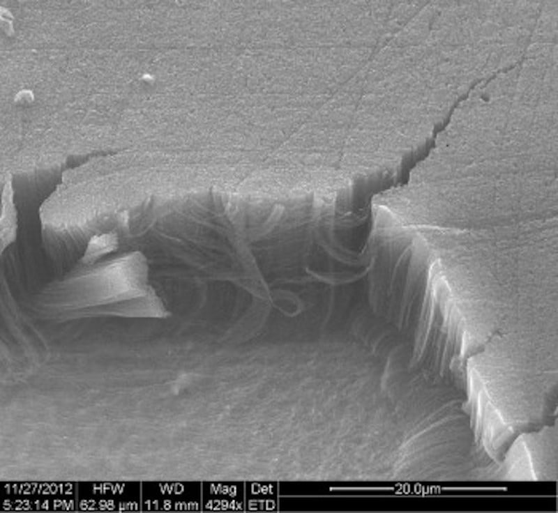  A microscopic view of a Vantablack coating, showing vertical nanotubes 