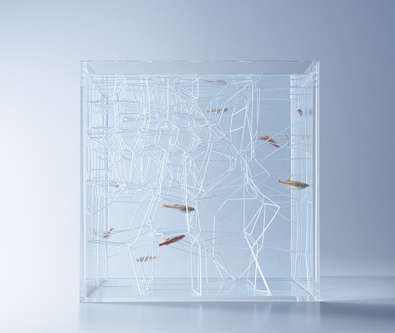  An item from Haruka Misawa's Waterscapes collection of 3D printed aquarium structures 