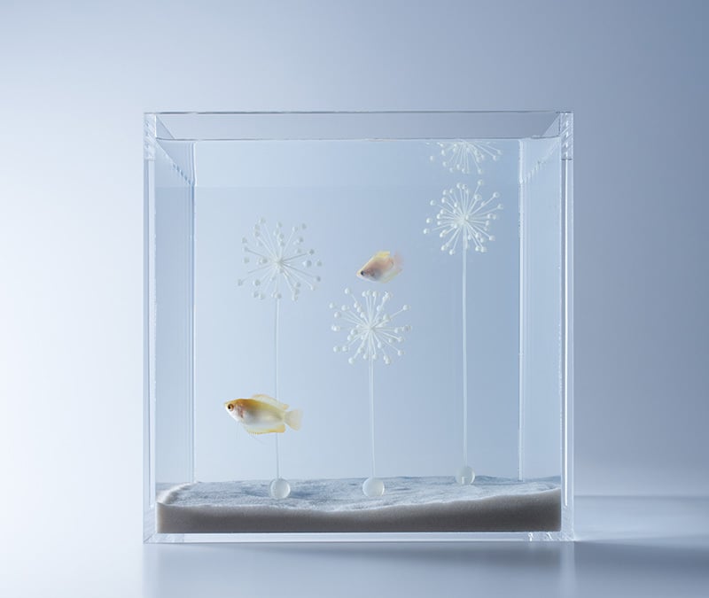  An item from Haruka Misawa's Waterscapes collection of 3D printed aquarium structures 