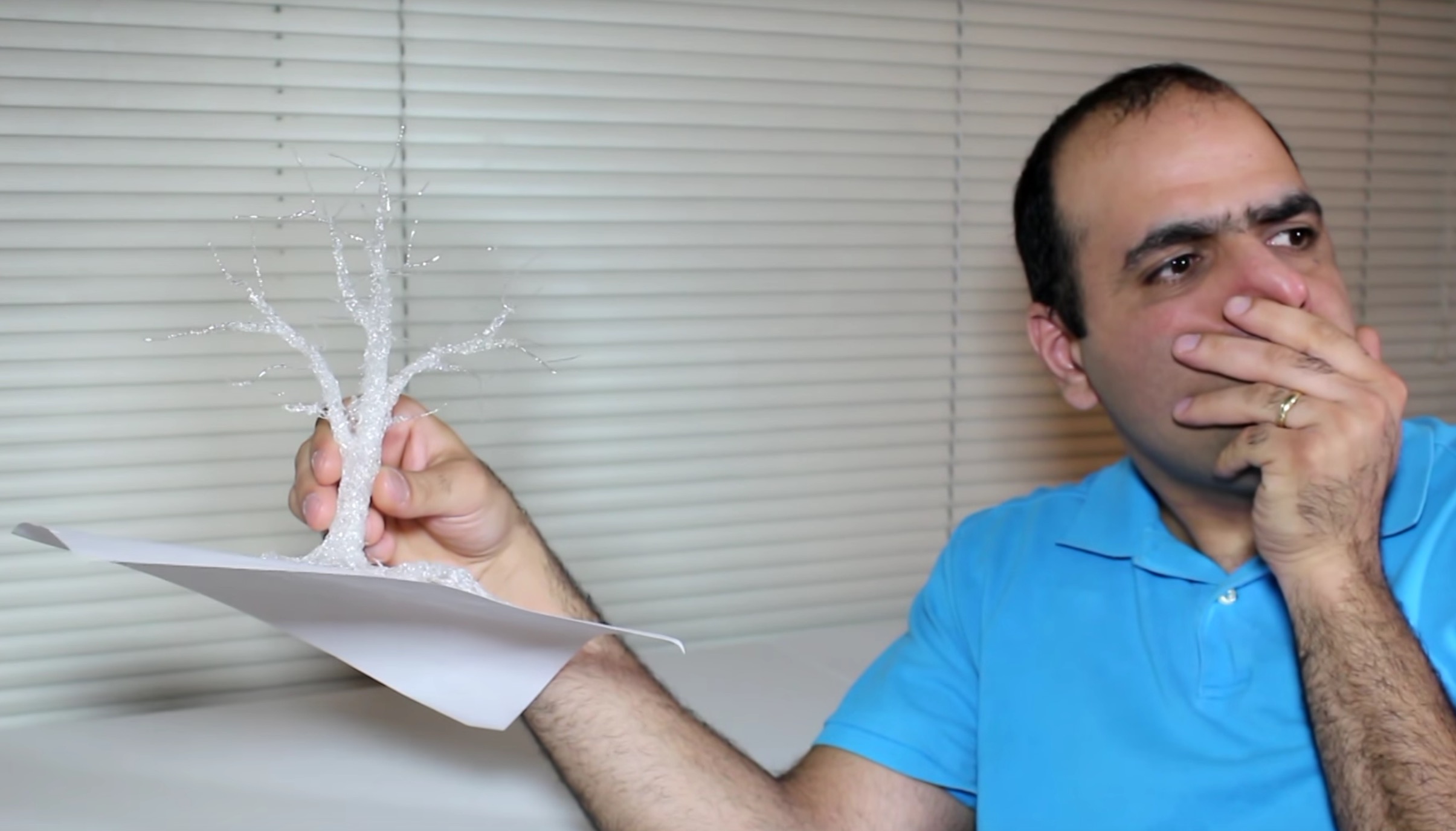  Mehdi Sadaghdar’s glue gun-made tree 