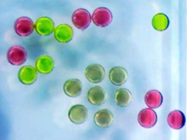 3D Printed Magnetic Liquids Could Revolutionize Medicine