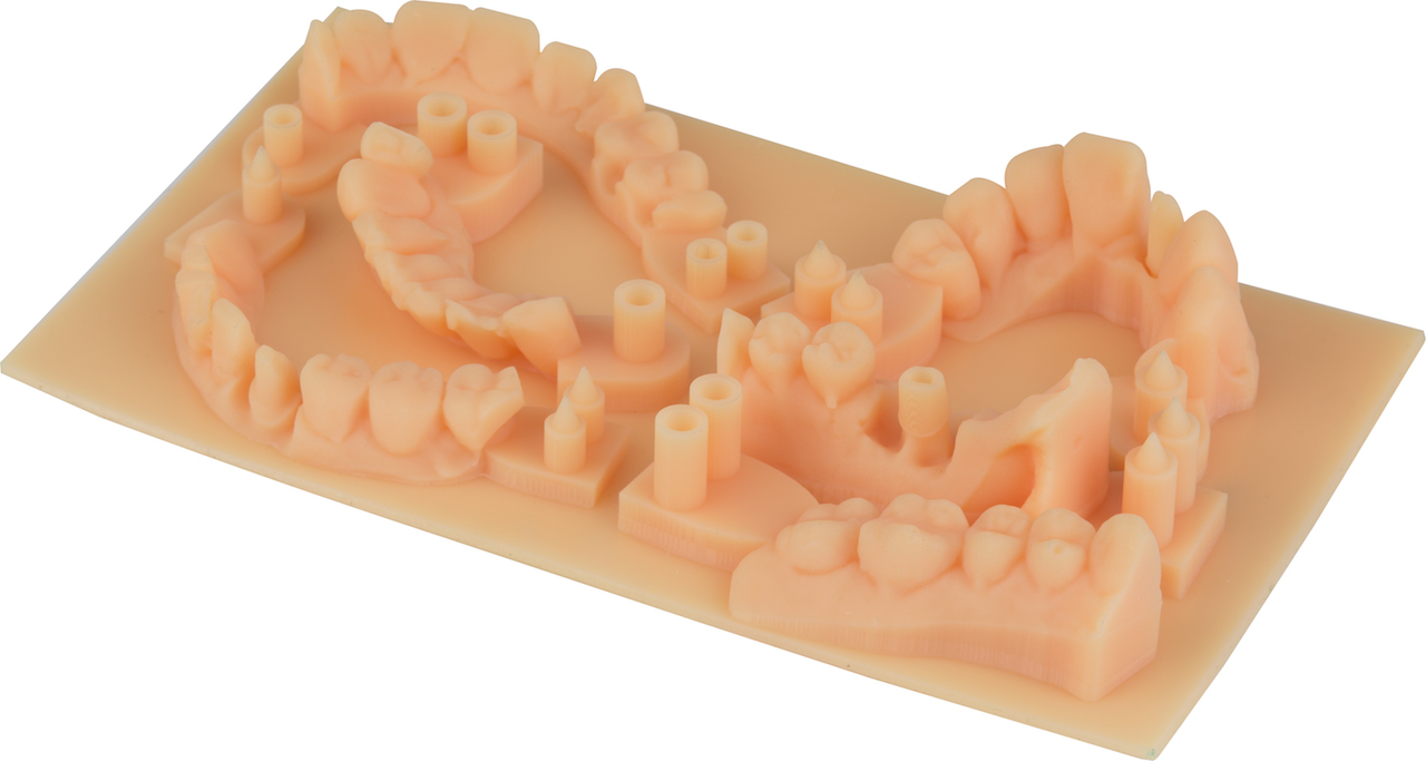  Dental applications 3D printed with MiiCraft's 125 Series 