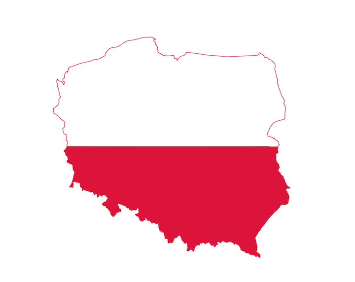  Poland: home to many 3D printing companies 
