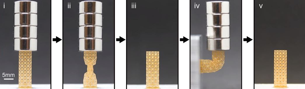  The metamaterial holding a load, being reshaped, and reverting to its original form [Image: Rutgers University–New Brunswick] 