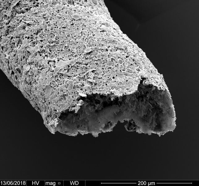 Why 3D Printed Vascular Structures Matter