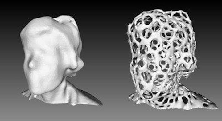  How to create a voronized 3D model [Source: Fabbaloo] 