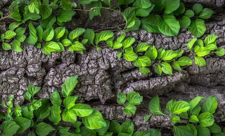 Is 3D Printing Green? Could It Be Green?
