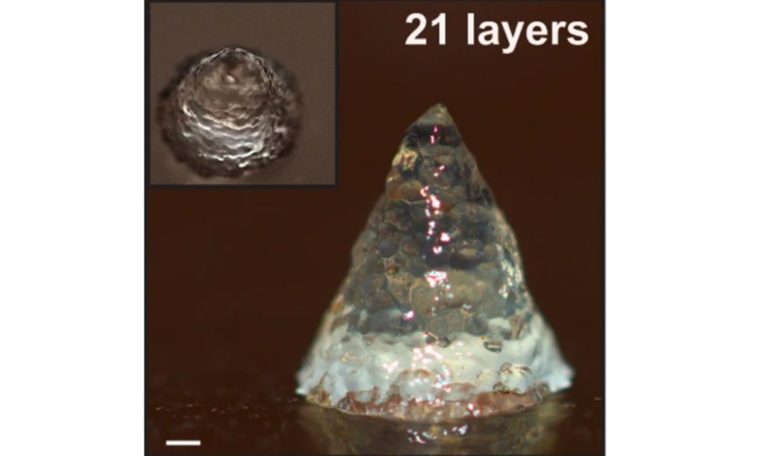 Advancements in the Development of Living 3D Printed Bioinks