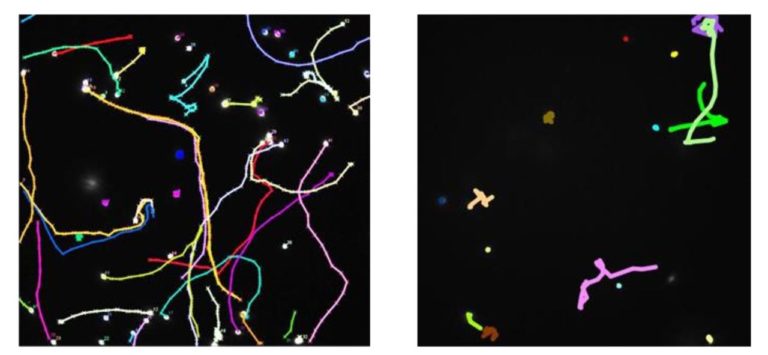 Could Molecular Robotics be the 3D Printing Process of the Future?