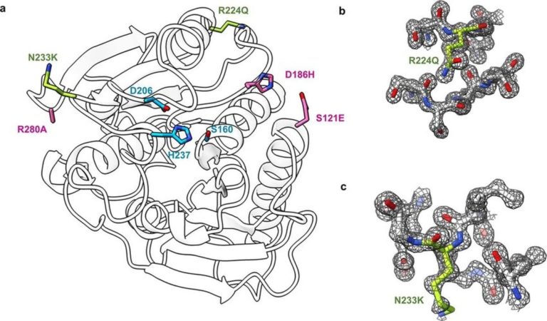 New AI-Generated Enzyme Could Get Rid of 3D Print Waste