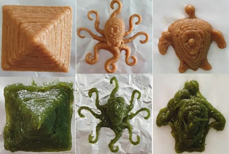 Putting the Protein in 3D Printed Food