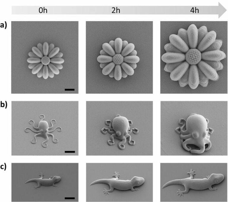 Nanoscale 4D 3D Printing With Tiny Animals