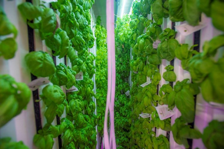 Vertical Farming and 3D Printing