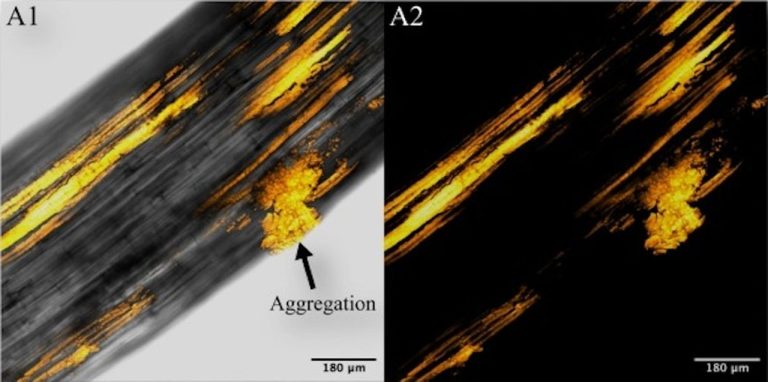 New Studies Linking Microplastics in Plants May Trigger Shift in 3D Printing Materials