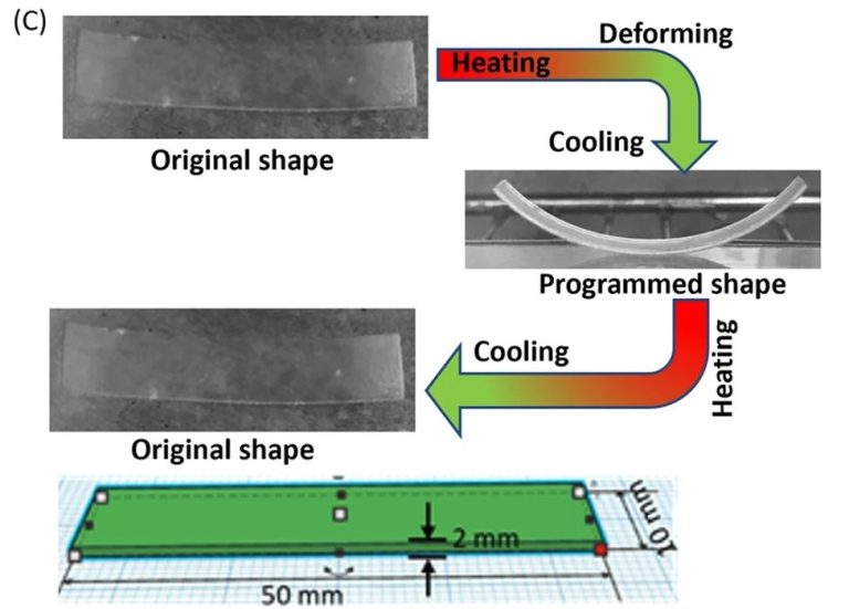 4D Printing: Researchers Unlock Potential with Cost-Efficient Shape Memory Resins