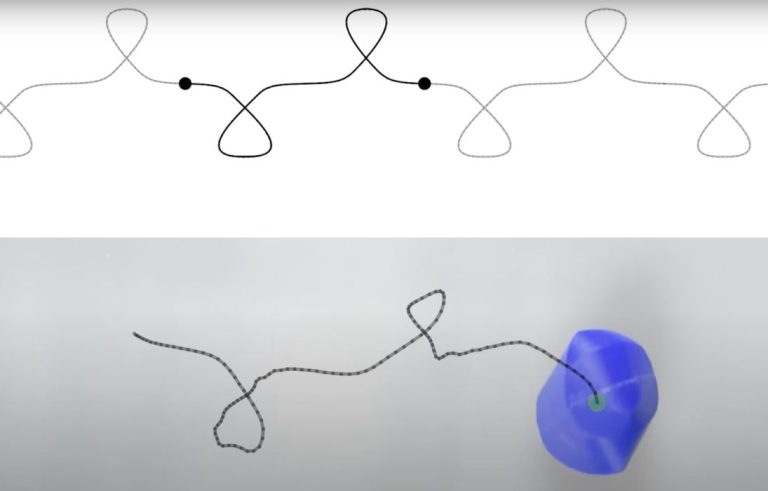 Introducing Trajectoids: Researchers Develop 3D Printed Objects with Custom Trajectories